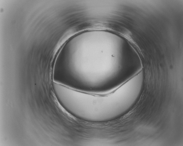 X0000057101484200509161642