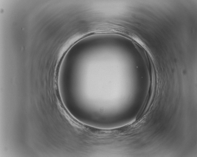 X0000057101485200509161642