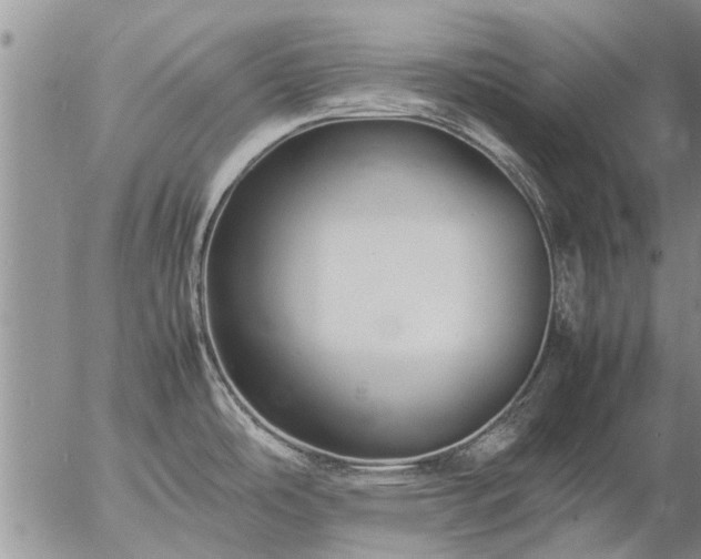 X0000057101486200509161642