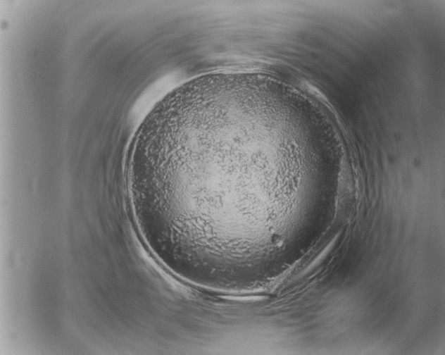 X0000057101487200509161642