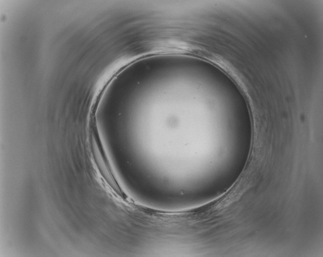 X0000057101488200509161642