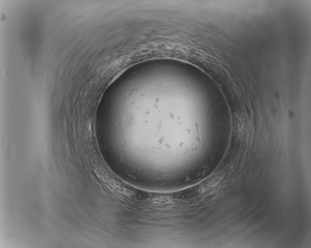 X0000057101489200509161641