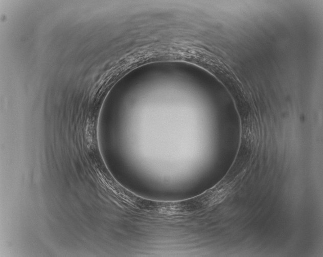 X0000057101490200509161641