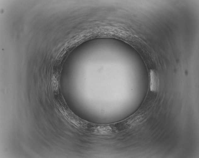 X0000057101491200509161641