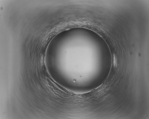 X0000057101492200509161641