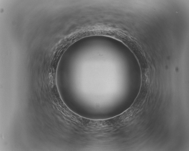 X0000057101493200509161641