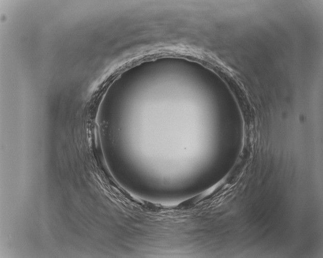 X0000057101496200509161641