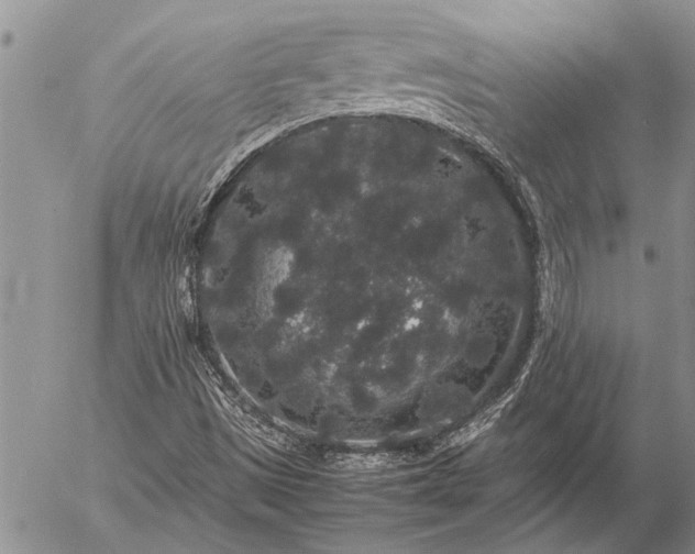 X0000057101497200509161641