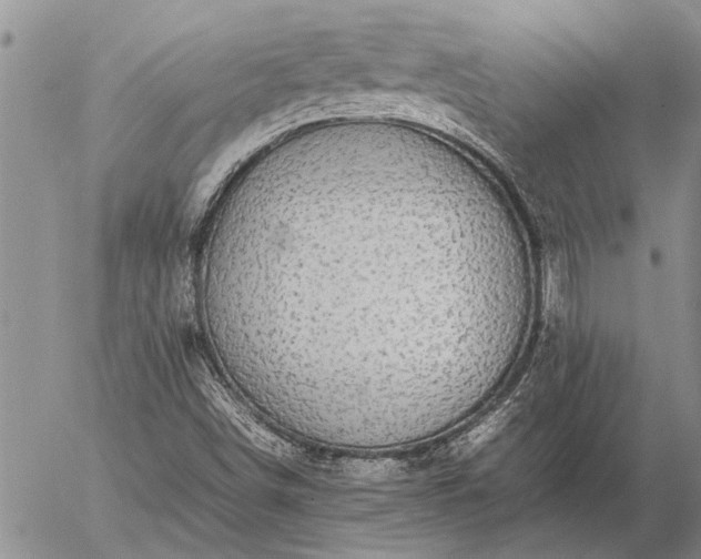 X0000057101498200509161641