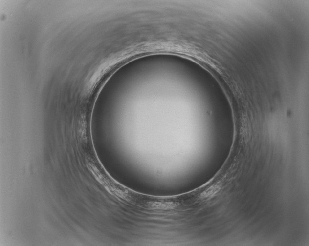 X0000057101499200509161641