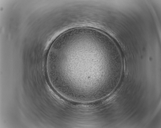 X0000057101500200509161641