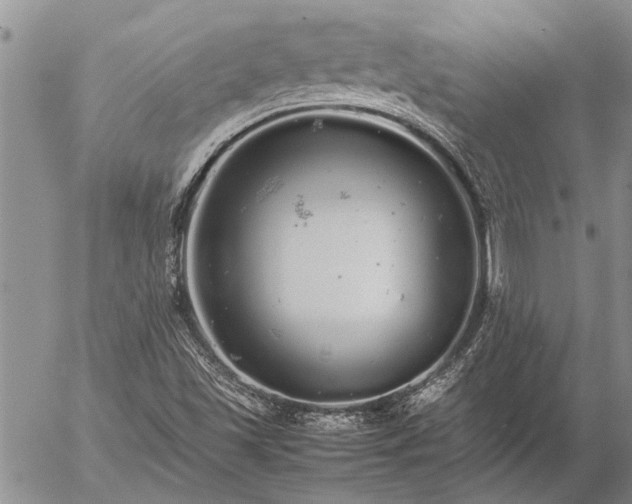 X0000057101501200509161641