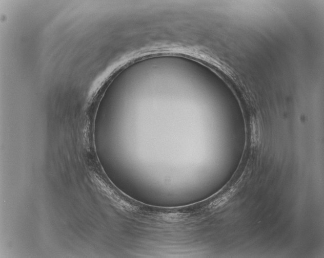 X0000057101502200509161641