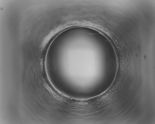 X0000057101503200509161641