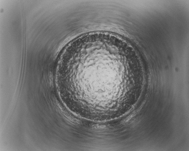 X0000057101505200509161641