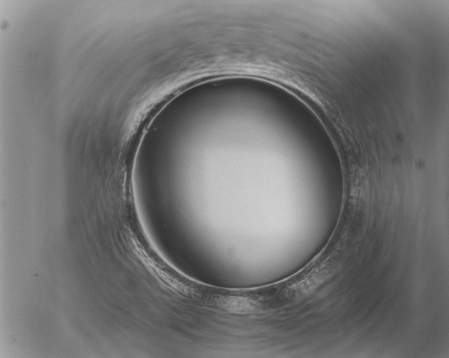 X0000057101507200509161641