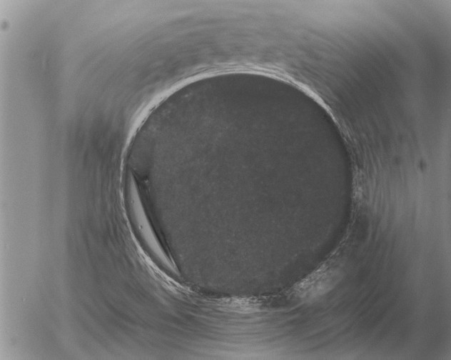 X0000057101508200509161641