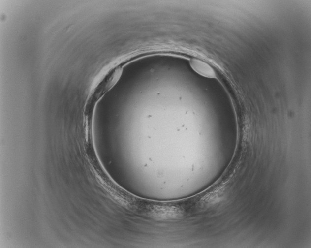 X0000057101509200509161641