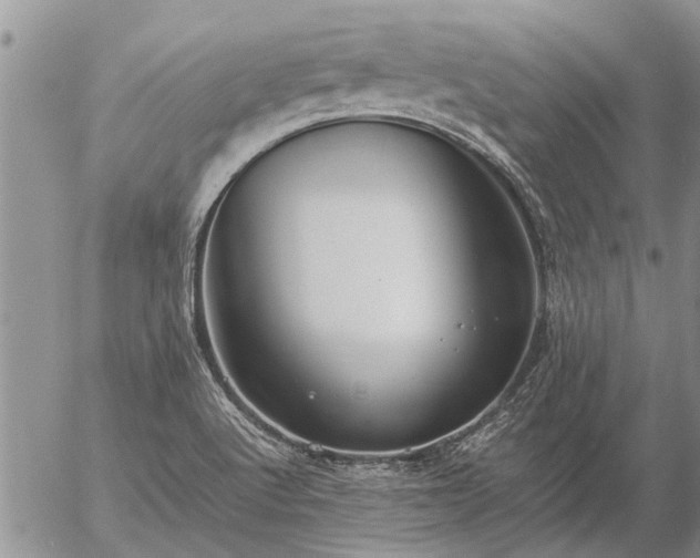 X0000057101512200509161641