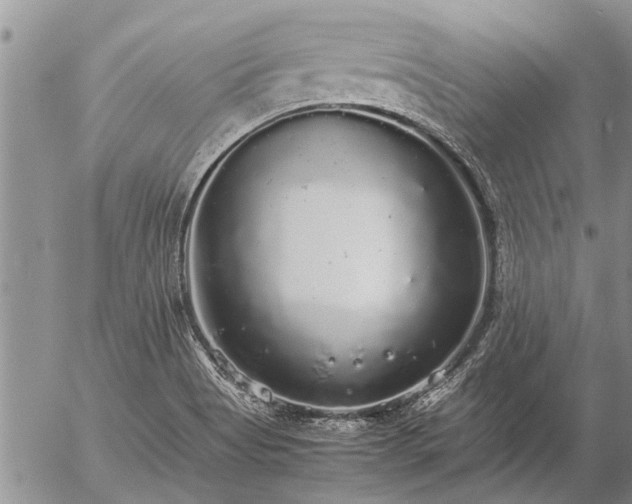 X0000057101513200509161641