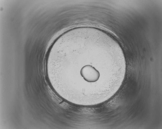 X0000057101514200509161641