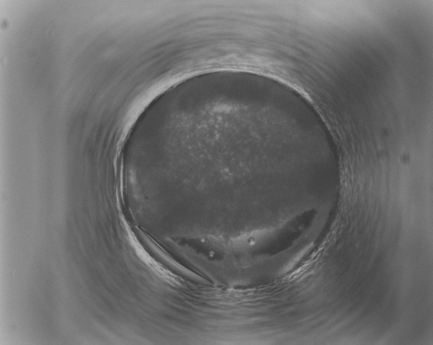 X0000057101515200509161641