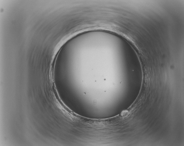 X0000057101516200509161641