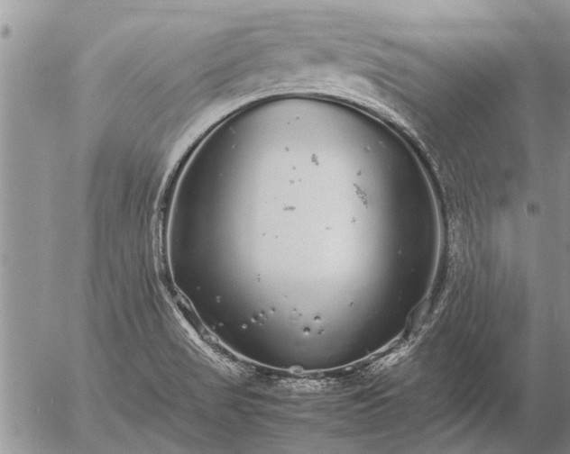 X0000057101517200509161641