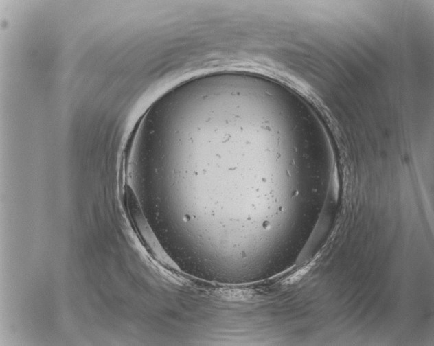 X0000057101520200509161641