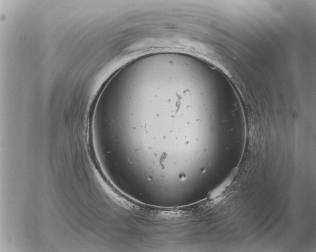 X0000057101523200509161642