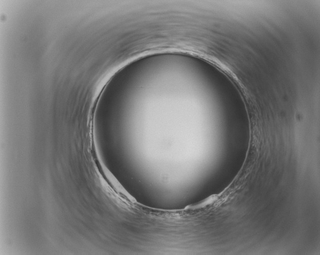 X0000057101524200509161642