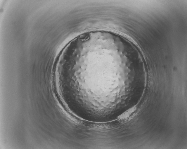 X0000057101525200509161642