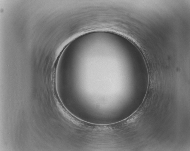 X0000057101526200509161642