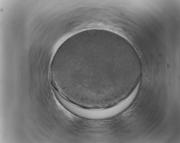 X0000057101527200509161642