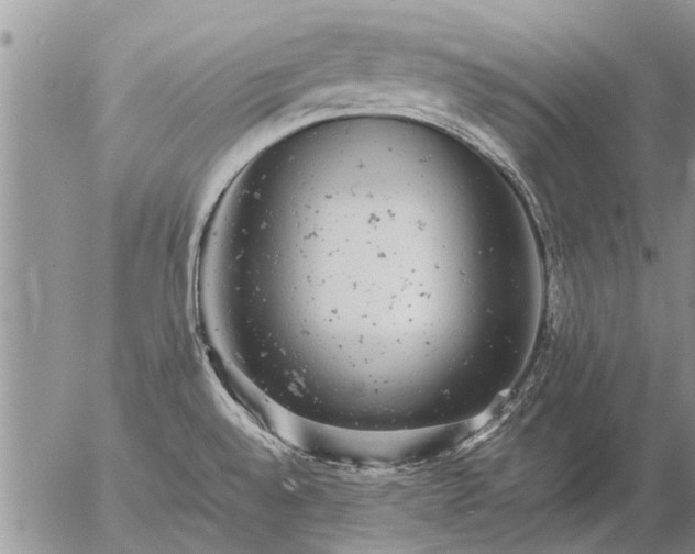 X0000057101528200509161642