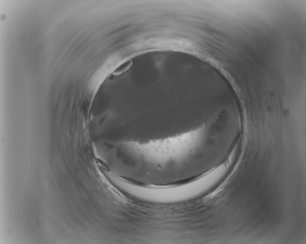 X0000057101529200509161642