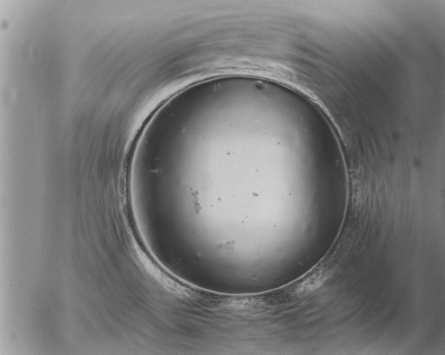 X0000057101531200509161642