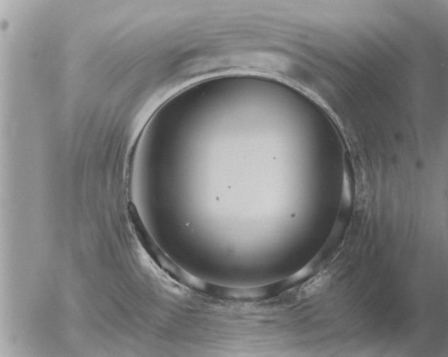 X0000057101532200509161642