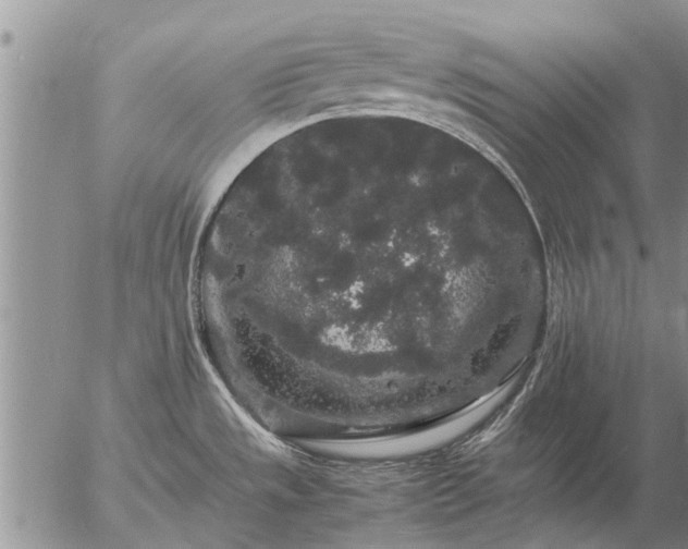 X0000057101533200509161642