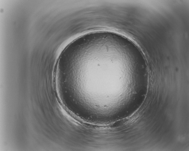 X0000057101535200509161642