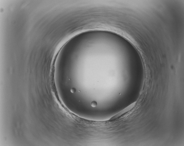 X0000057101536200509161642