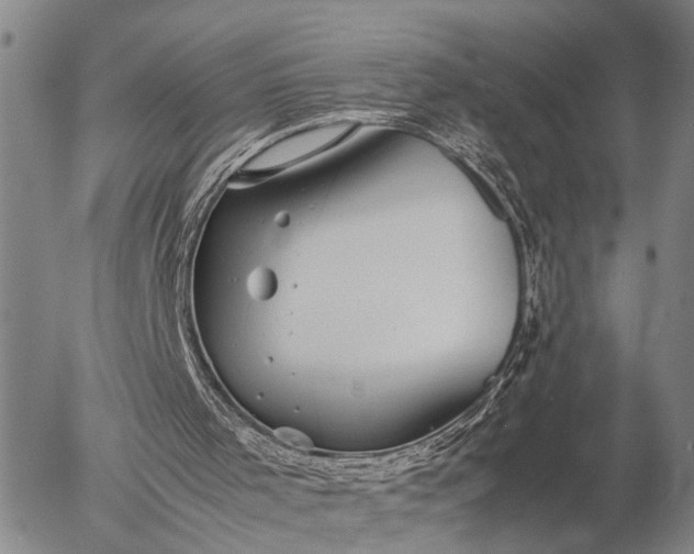 X0000057100001200509231728