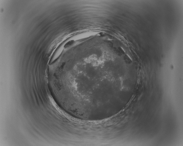 X0000057100002200509231728