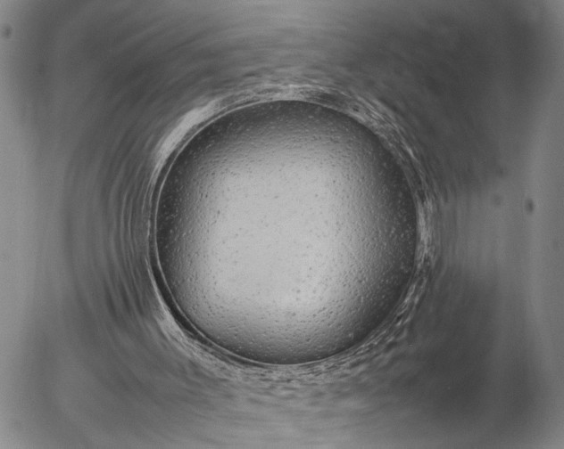 X0000057100003200509231728