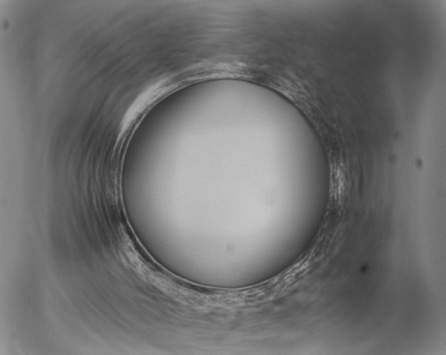 X0000057100004200509231728