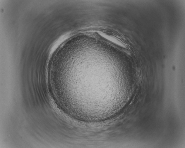 X0000057100006200509231728