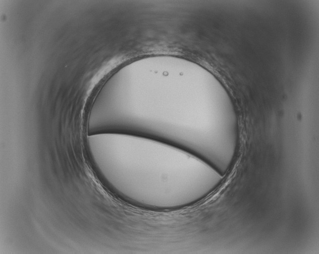 X0000057100008200509231728