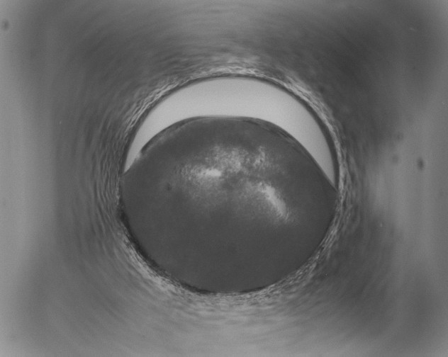 X0000057100009200509231728