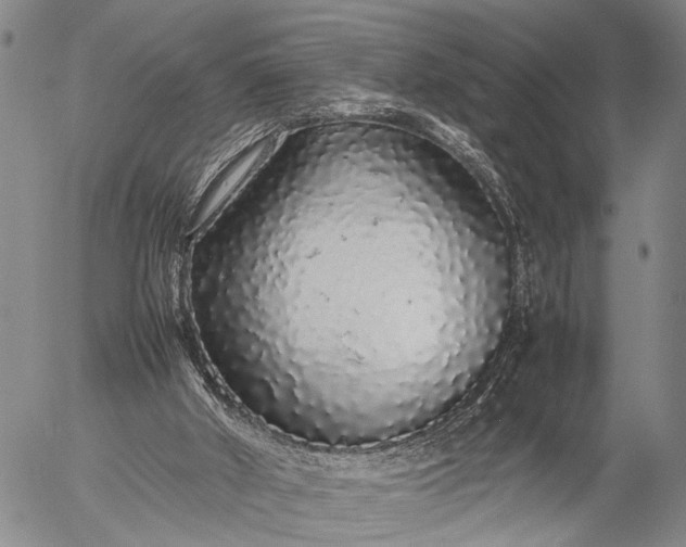 X0000057100010200509231728