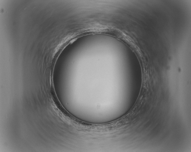 X0000057100011200509231728